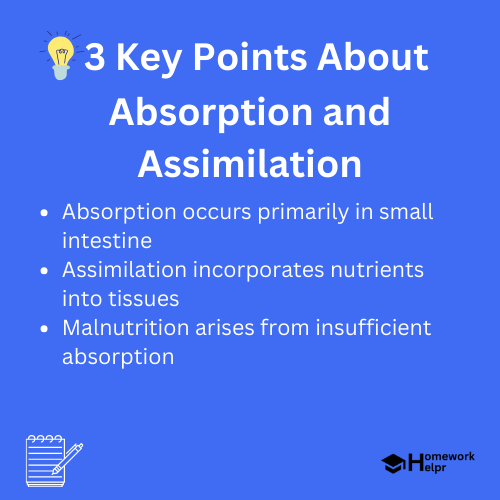 Absorption and Assimilation