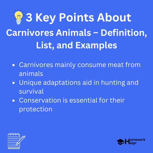 Carnivores Animals – Definition, List, and Examples