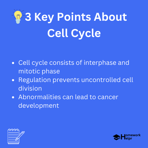 Cell Cycle