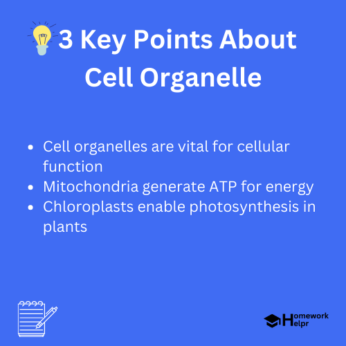 Cell Organelle