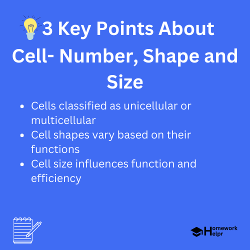 Cell- Number, Shape and Size