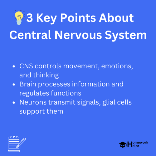 Central Nervous System