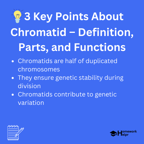 Chromatid – Definition, Parts, and Functions