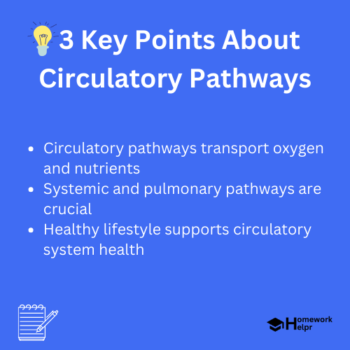 Circulatory Pathways