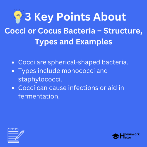 Cocci or Cocus Bacteria – Structure, Types and Examples