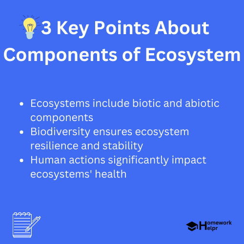 Components of Ecosystem