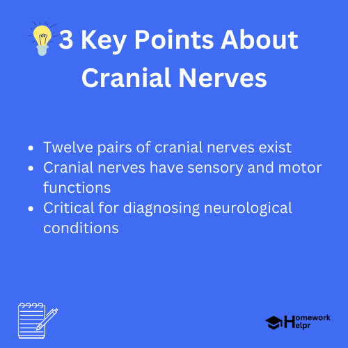 Cranial Nerves