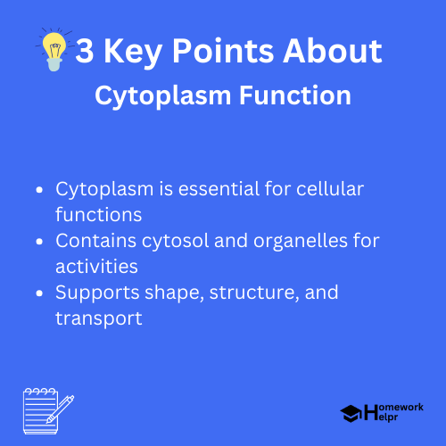 Cytoplasm Function – Definition and Structure (with Diagram)