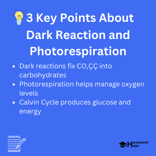 Dark Reaction and Photorespiration