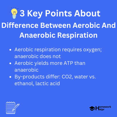 Difference Between Aerobic And Anaerobic Respiration