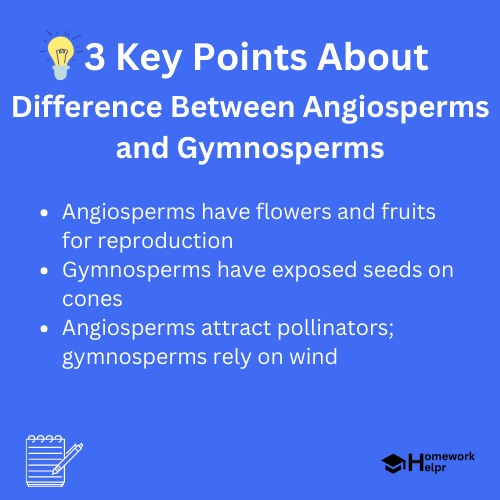 Difference Between Angiosperms and Gymnosperms