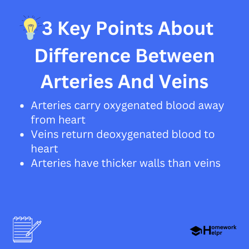 Difference Between Arteries And Veins