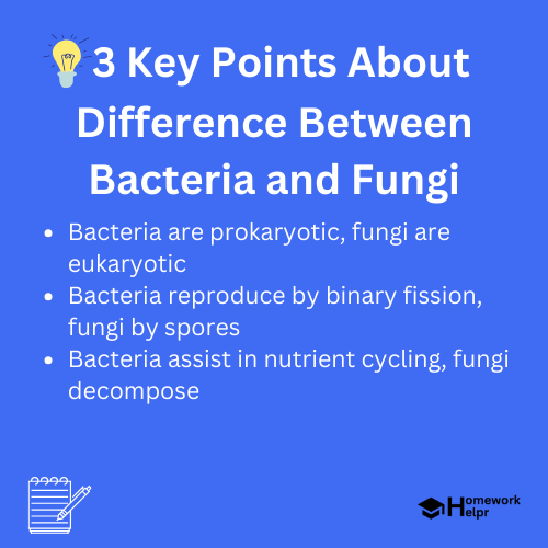 Difference Between Bacteria and Fungi