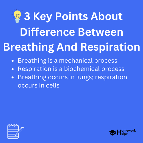 Difference Between Breathing And Respiration