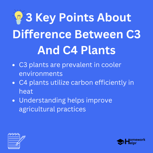 Difference Between C3 And C4 Plants