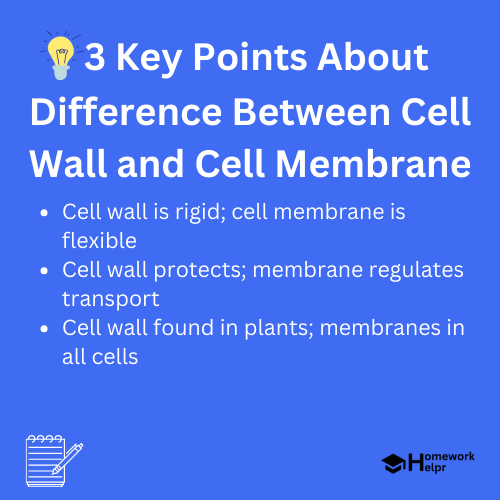 Difference Between Cell Wall and Cell Membrane