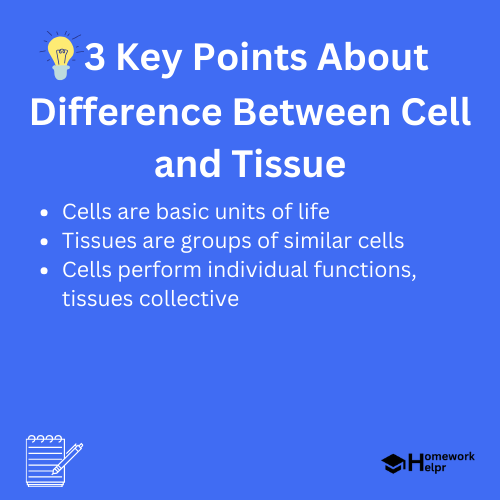 Difference Between Cell and Tissue