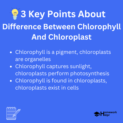 Difference Between Chlorophyll And Chloroplast