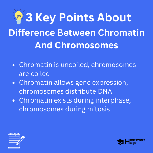 Difference Between Chromatin And Chromosomes