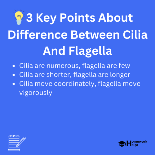 Difference Between Cilia And Flagella