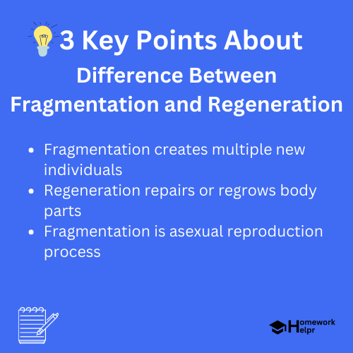 Difference Between Fragmentation and Regeneration