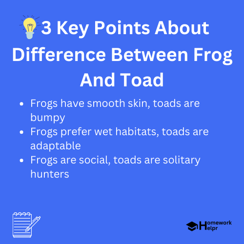 Difference Between Frog And Toad