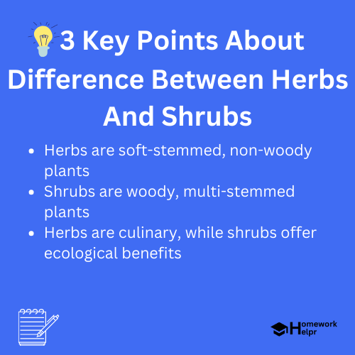 Difference Between Herbs And Shrubs