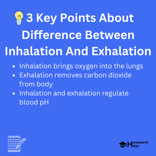 Difference Between Inhalation And Exhalation