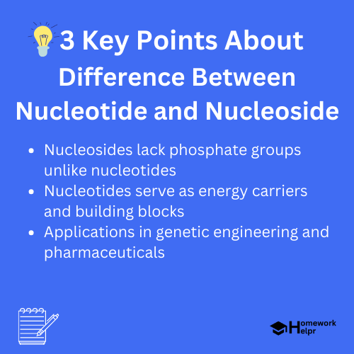 Difference Between Nucleotide and Nucleoside