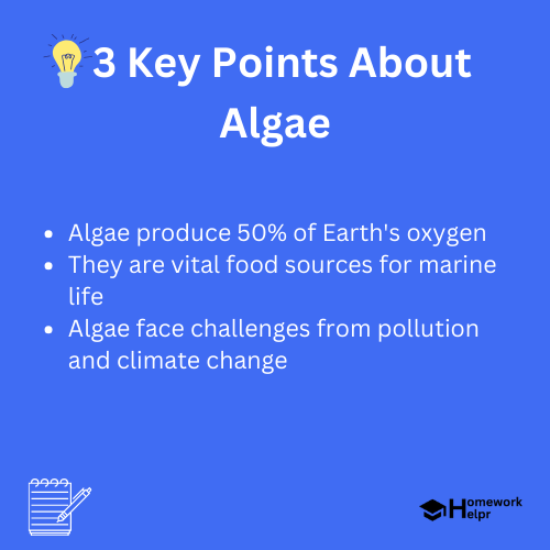 Algae