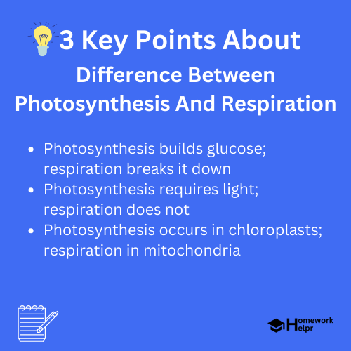 Difference Between Photosynthesis And Respiration