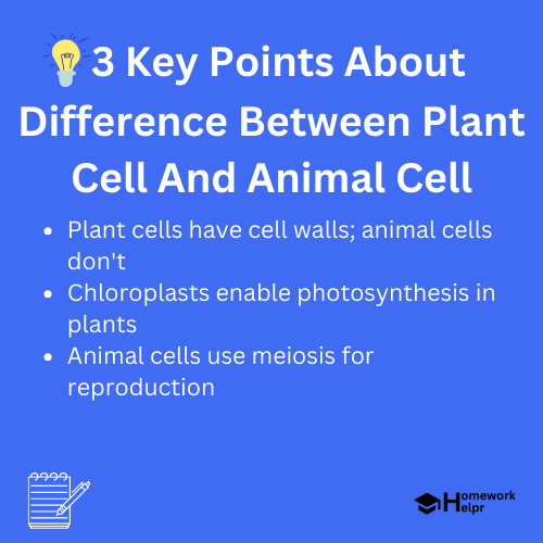 Difference Between Plant Cell And Animal Cell