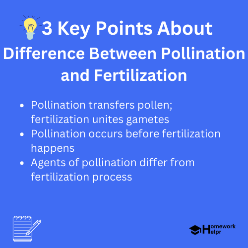 Difference Between Pollination and Fertilization