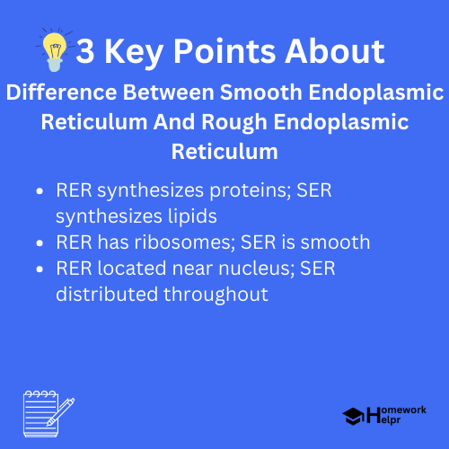 Difference Between Smooth Endoplasmic Reticulum And Rough Endoplasmic Reticulum