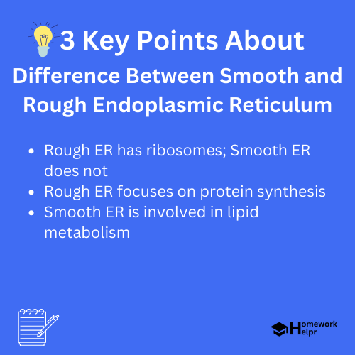 Difference Between Smooth and Rough Endoplasmic Reticulum