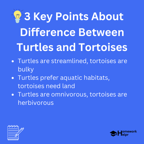 Difference Between Turtles and Tortoises