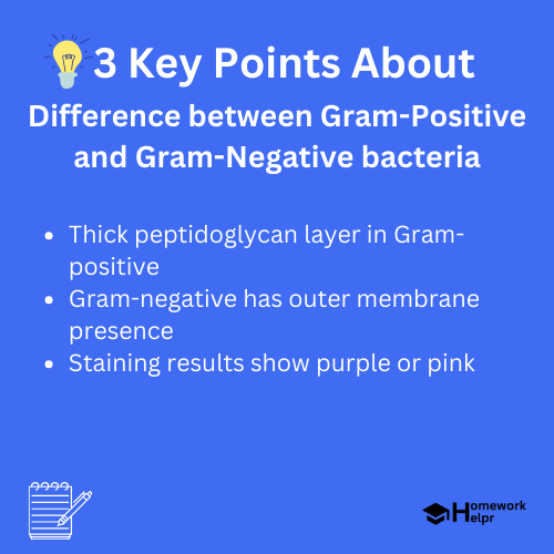 Difference between Gram-Positive and Gram-Negative bacteria