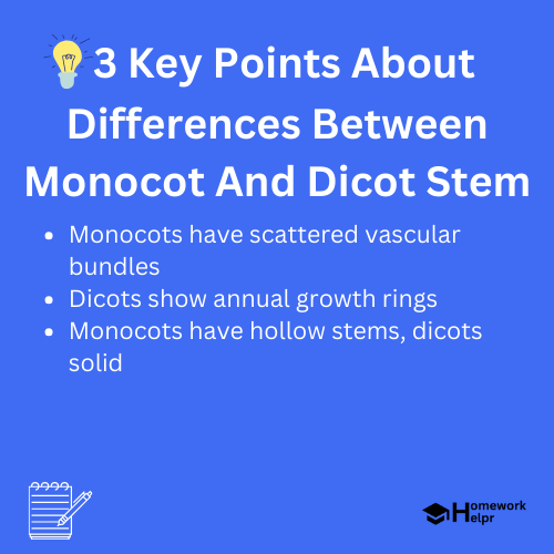 Differences Between Monocot And Dicot Stem