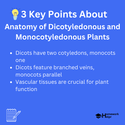 Anatomy of Dicotyledonous and Monocotyledonous Plants