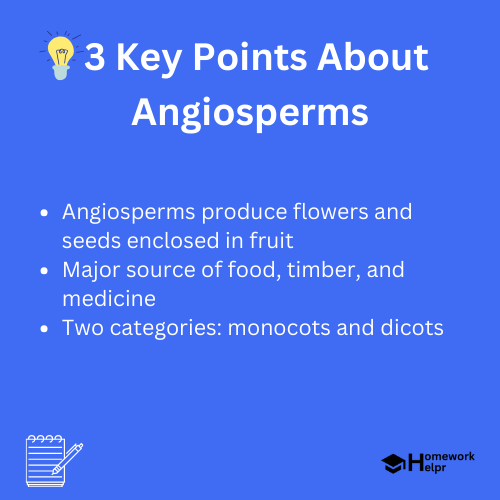 Angiosperms