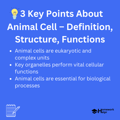 Animal Cell – Definition, Structure, Functions