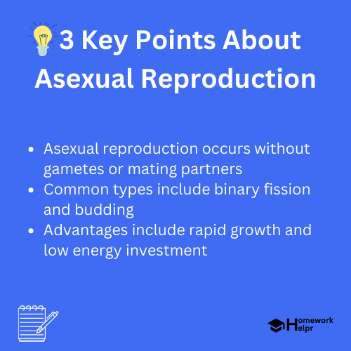 Asexual Reproduction