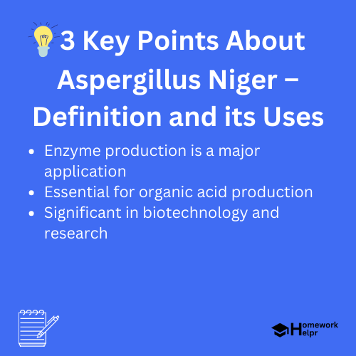 Aspergillus Niger – Definition and its Uses