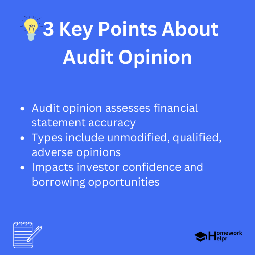 Audit Opinion