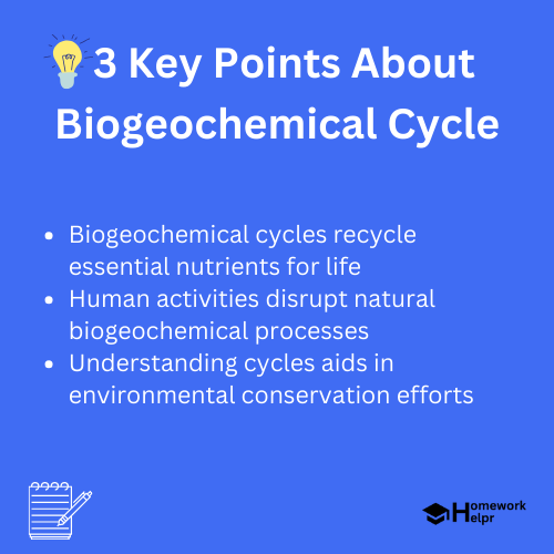 Biogeochemical Cycle