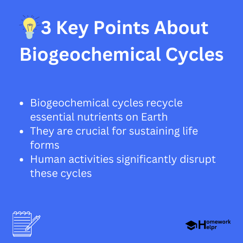 Biogeochemical Cycles