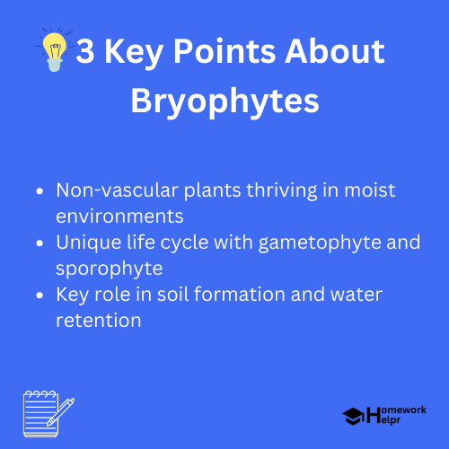 Bryophytes