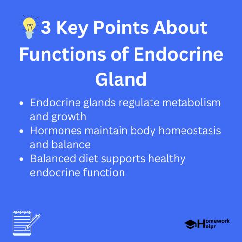 Functions of Endocrine Gland