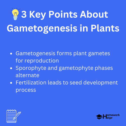 Gametogenesis in Plants