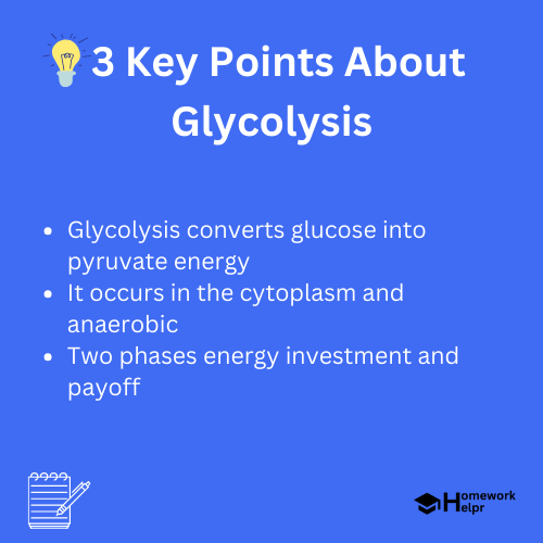 Glycolysis